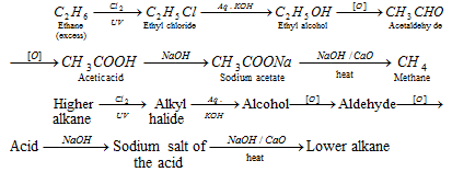 582_interconversion of alkanes2.png